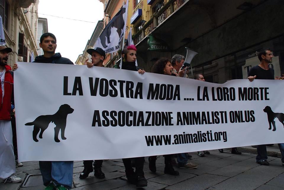 Pavia - Petizione Chiusura Allevamenti Animali da Pelliccia