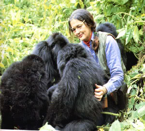 In memoria di Dian Fossey la Signora dei Gorilla