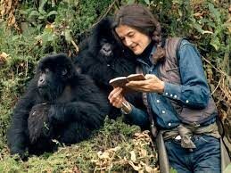 In memoria di Dian Fossey la Signora dei Gorilla