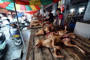 Morire a Yulin, morire nel mondo